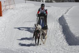 Kandersteg 2013